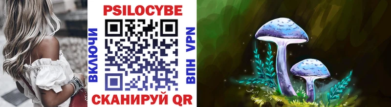 Галлюциногенные грибы Psilocybine cubensis  Вилюйск 